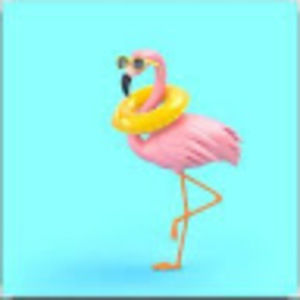 Meet your Posher, Henry